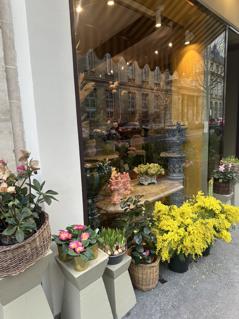 Paris flower shop with mimosa and spring blooms