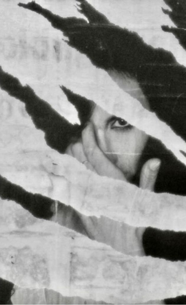 Zebra Gaze, Paris.