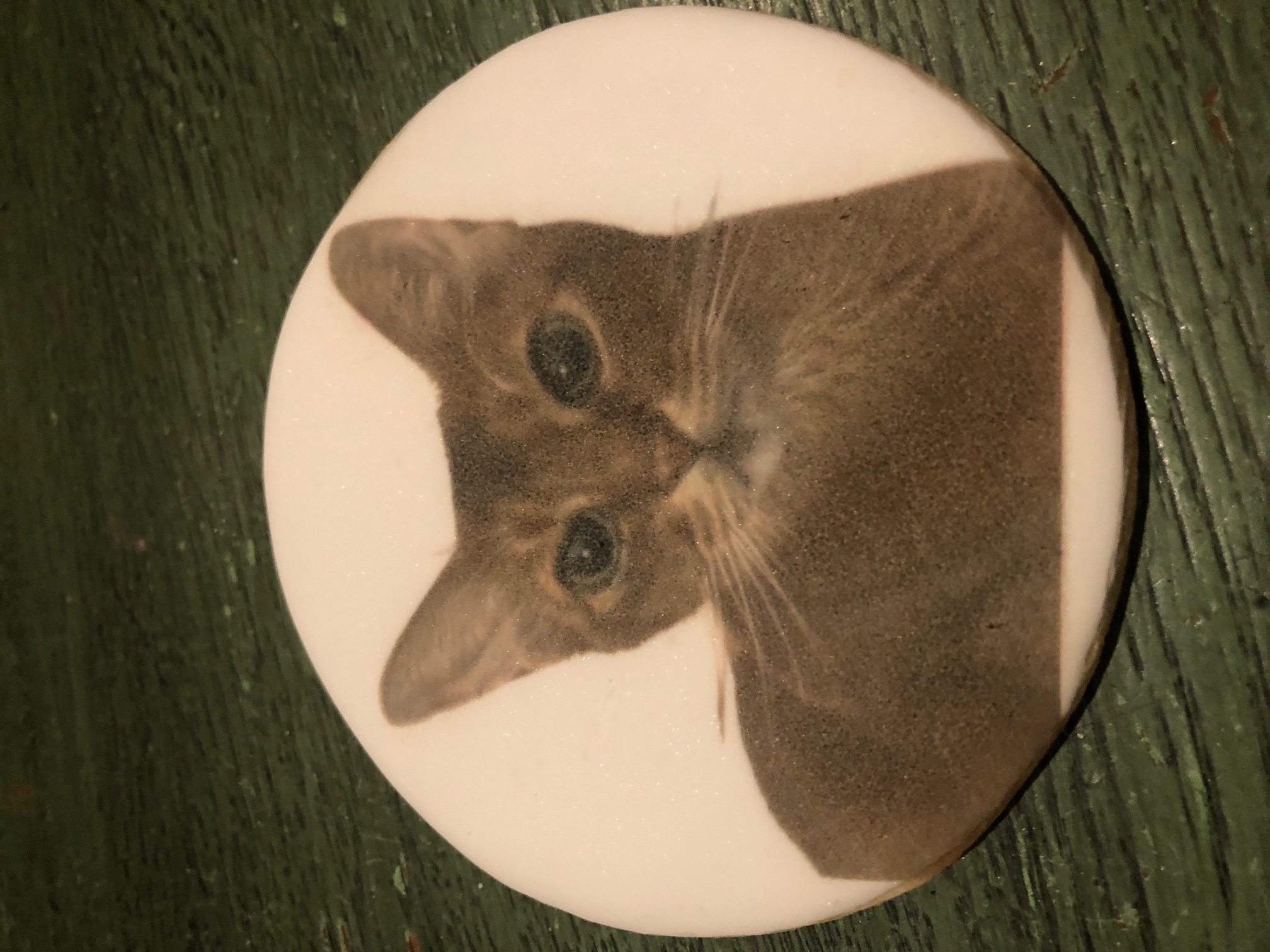 A pet portrait cookie from the Anti-Cruelty anniversary event