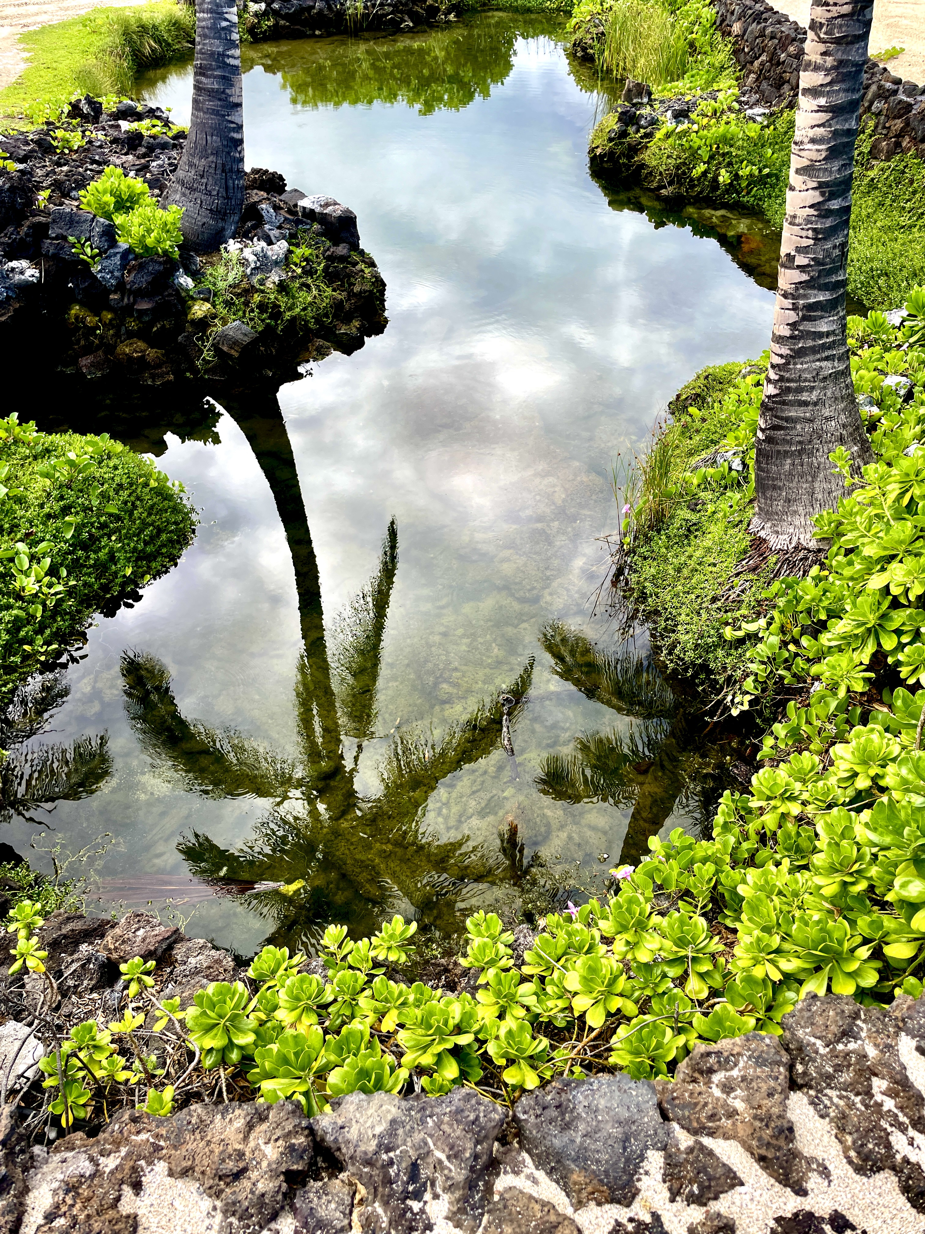 Reflecting