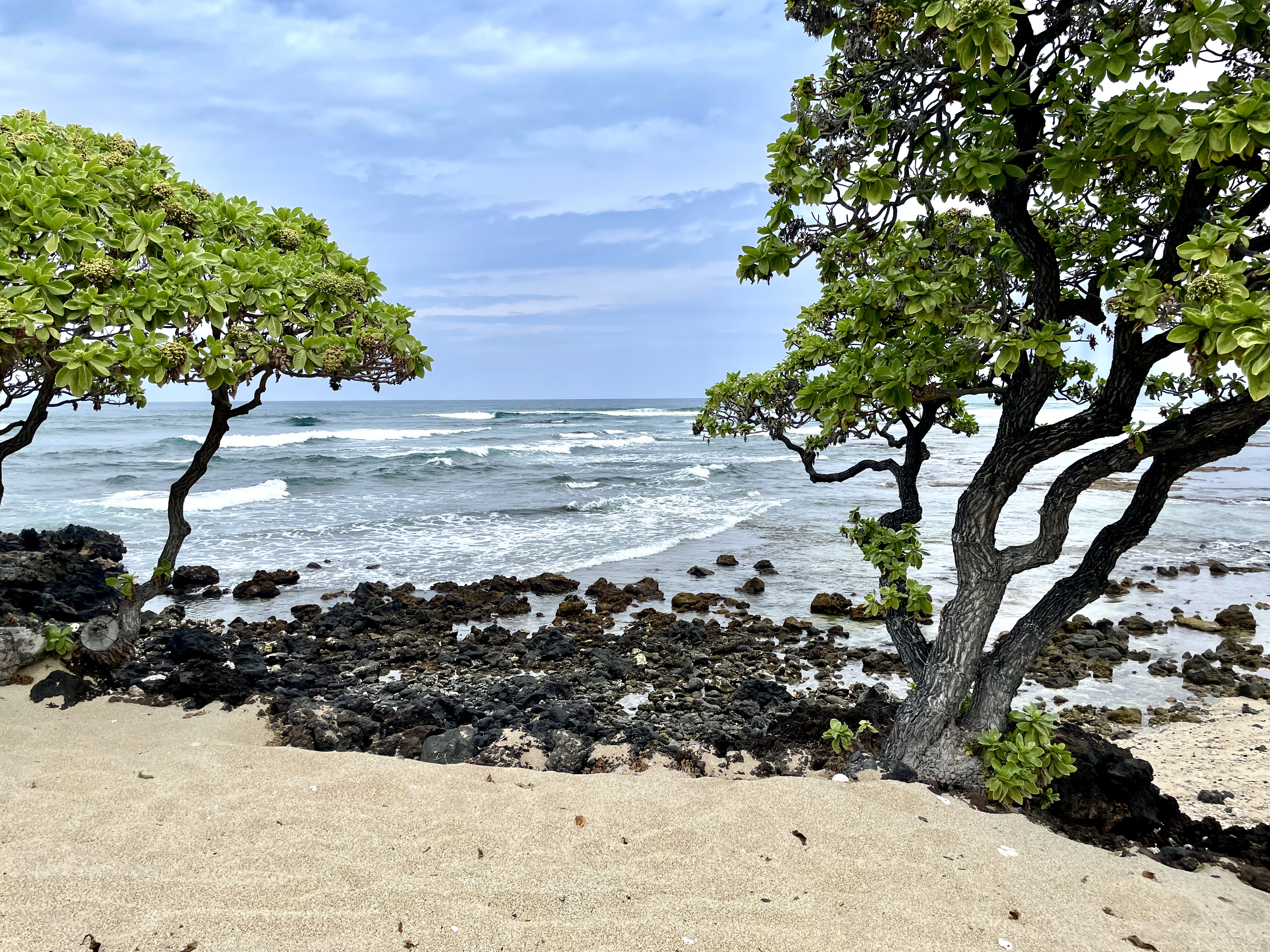 Shore at the Four Seasons Hualālai