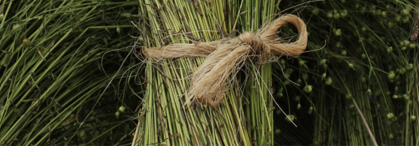 Linen colors