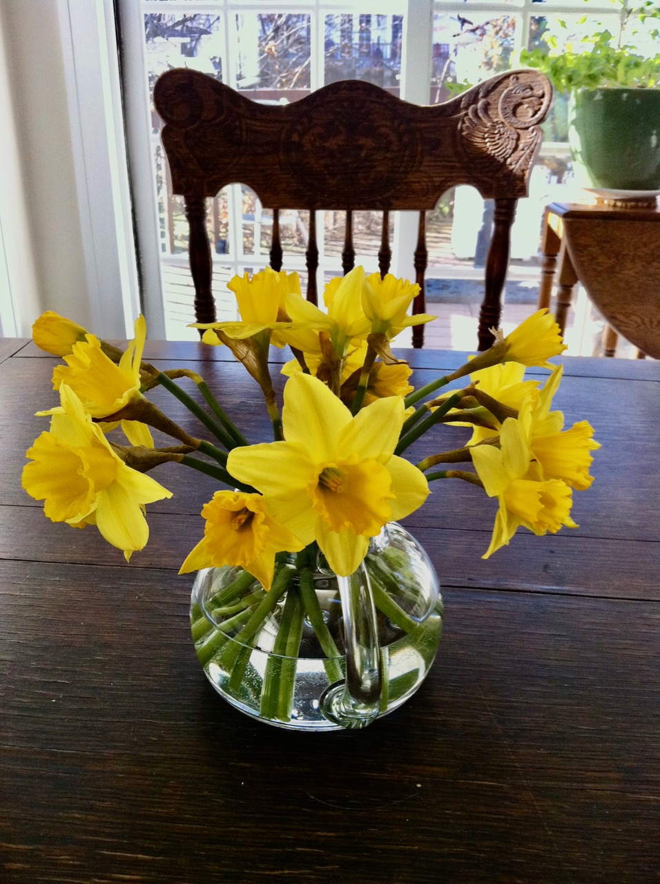 At last, the Daffodils