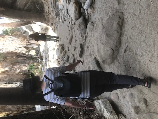 Indian Canyons