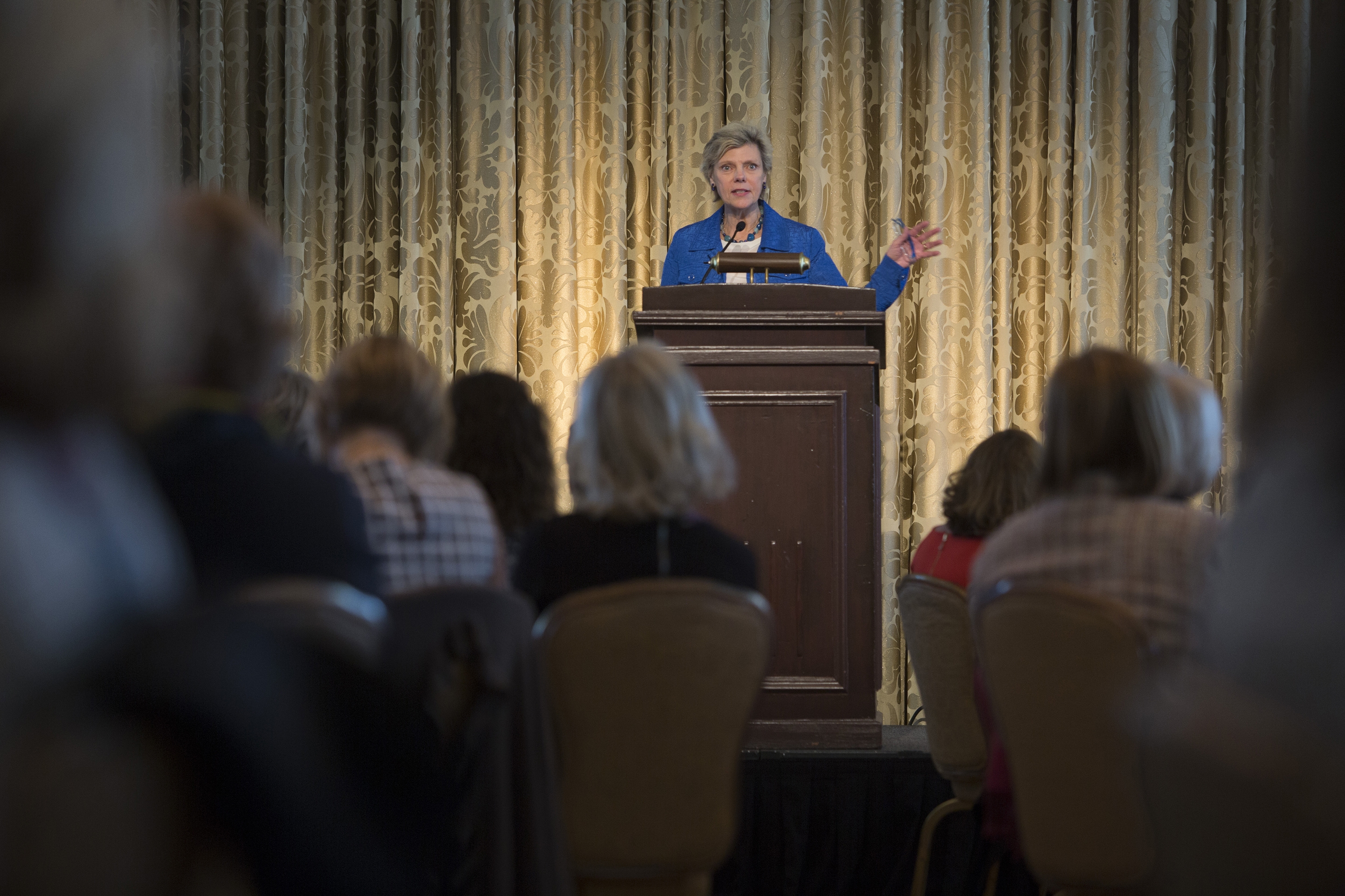 2014 Spring Luncheon