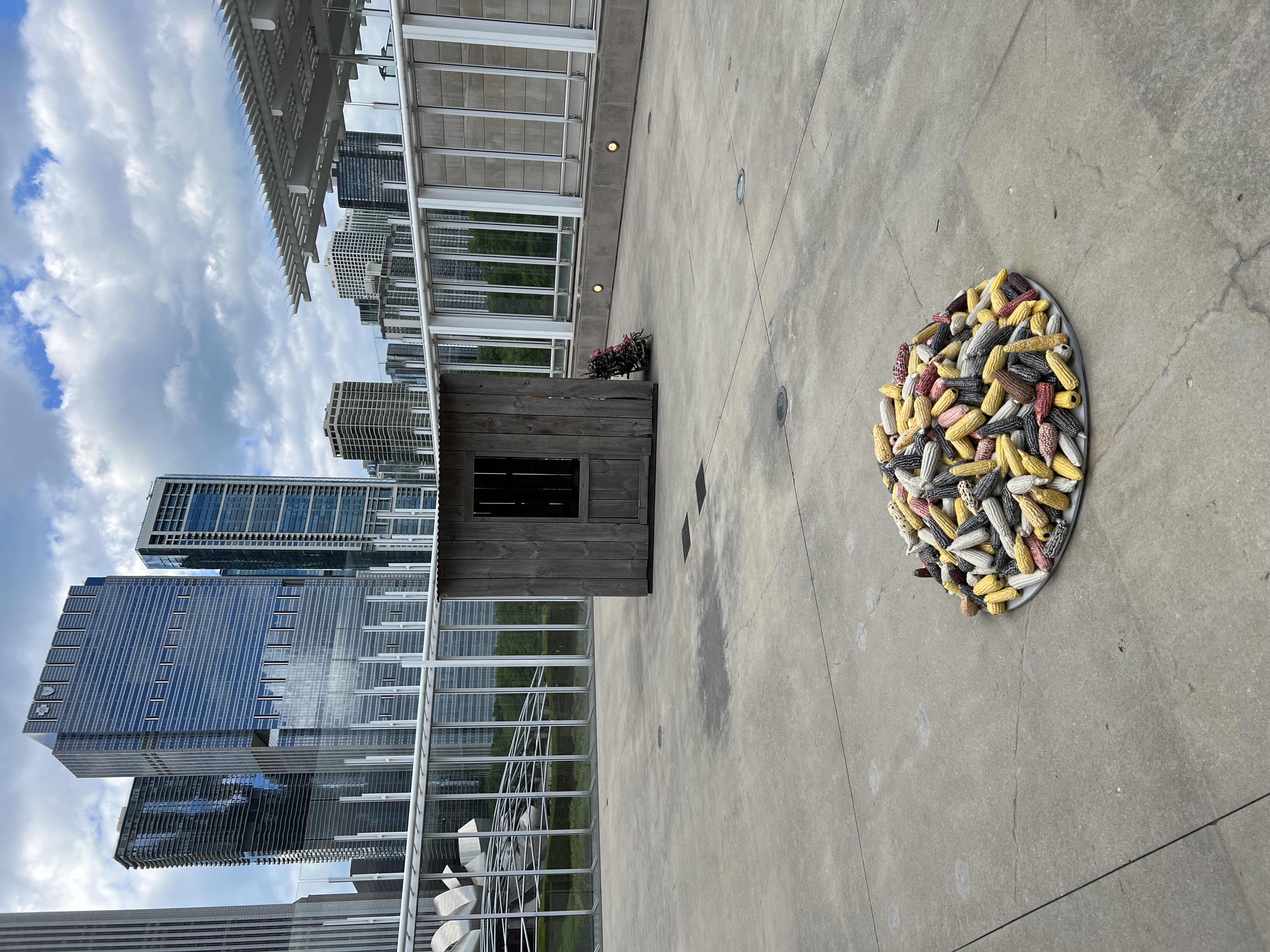 Installation view of Edgar Calel: Corn Mountain of Life at the Art Institute of Chicago