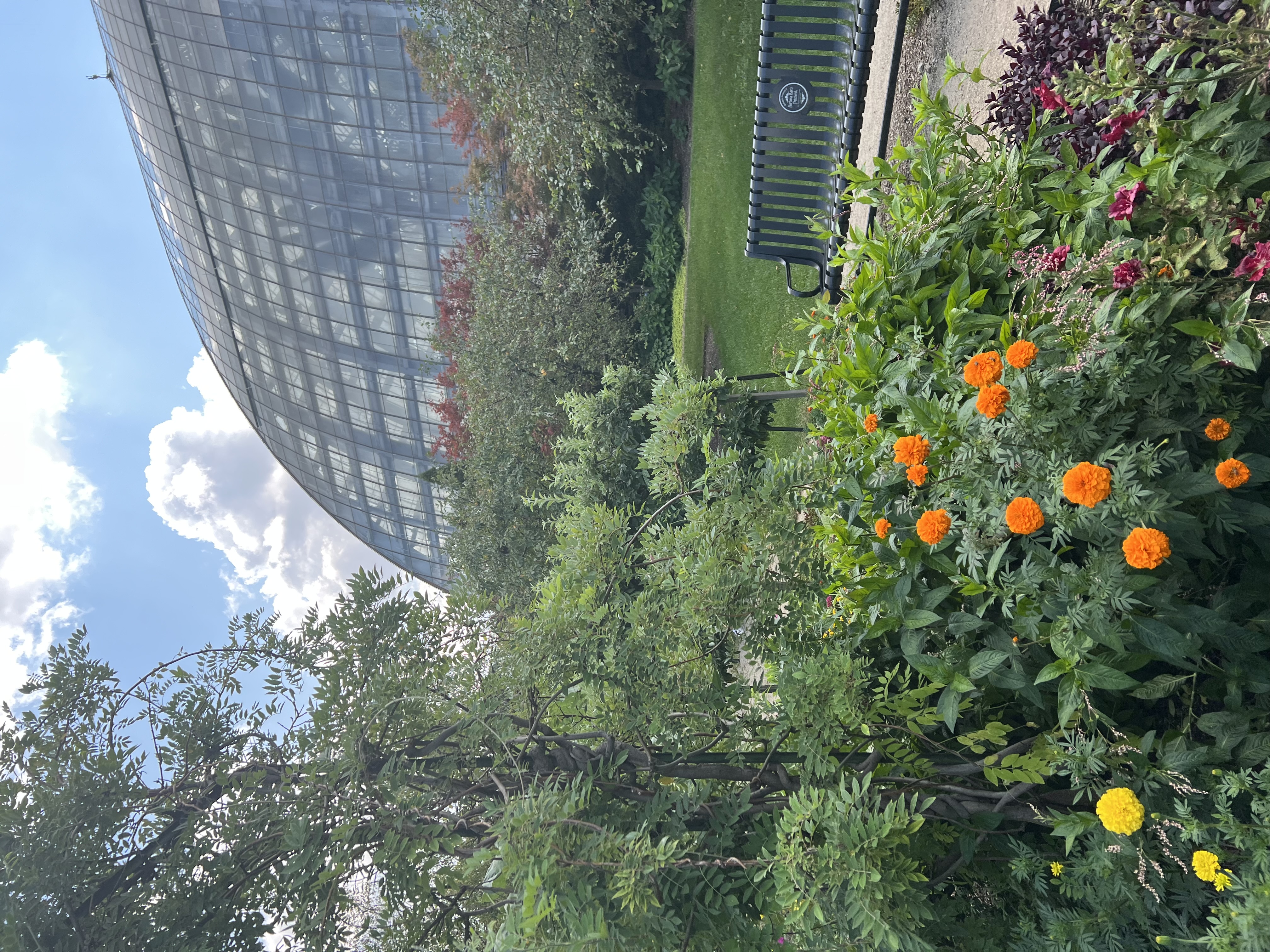 A view of Garfield Park Conservatory & Gardens, Chicago, 2026.